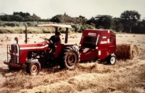 big_stabra_newidea_01