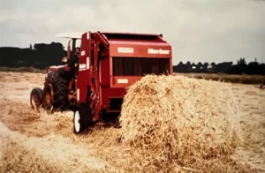 big_stabra_newidea_02