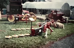 big_stabra_newidea_05