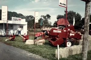 big_stabra_newidea_07