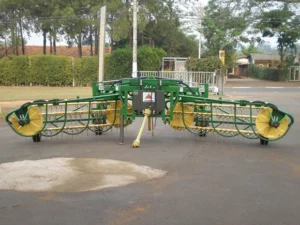 big_stabra_ponta_de_cana_10