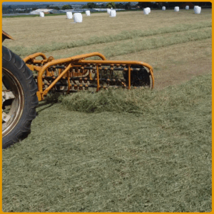 girobar_sem_fundo_12