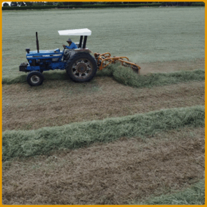 girobar_sem_fundo_13