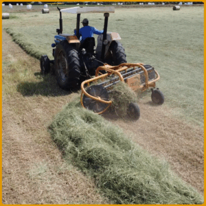 girobar_sem_fundo_14