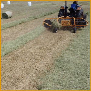 girobar_sem_fundo_15