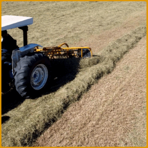 girobar_sem_fundo_16