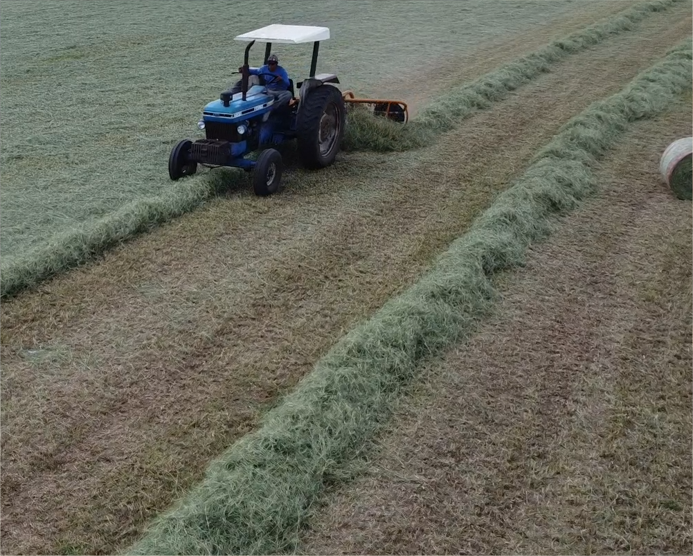 template_diferenciais_04