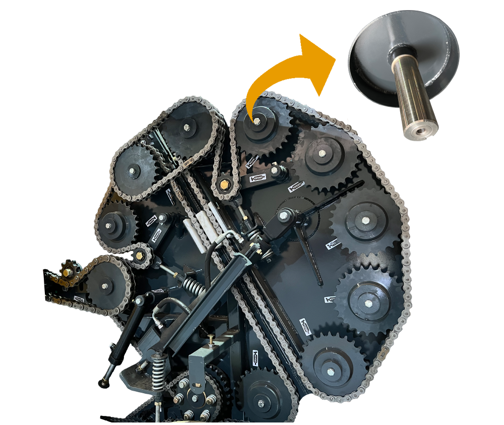 stabra_lateral_zeus_03